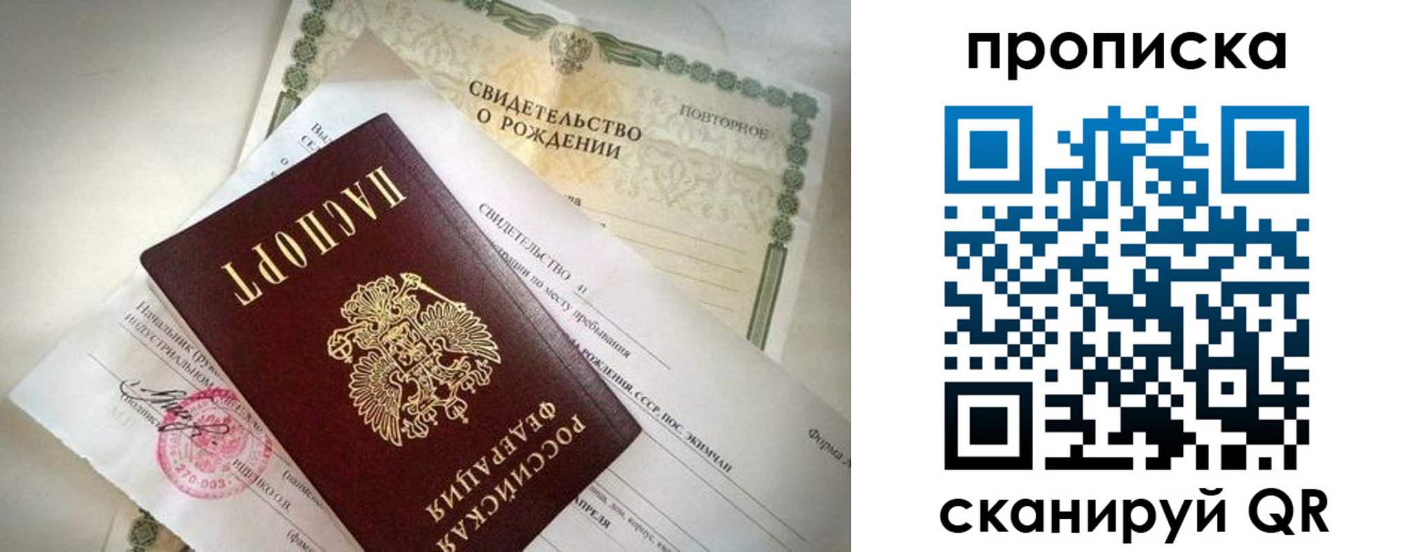 прописка гарантия в Долгопрудном